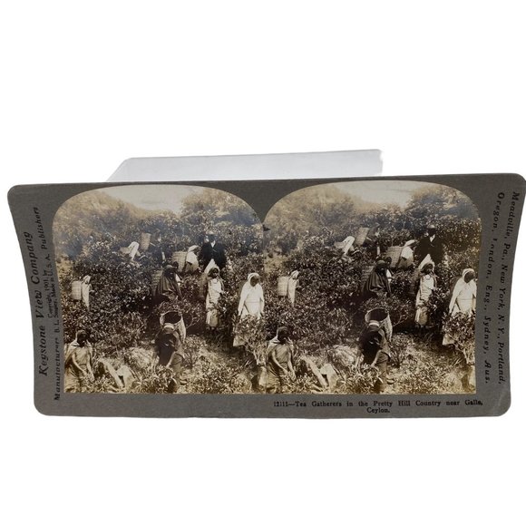 Antique 1901 Stereoview Photo Card Tea Gatherers Galle Ceylon Hill Country - Picture 2 of 9